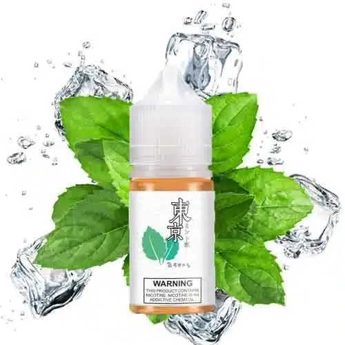 Mint Salt nic Vape juice in Dubai