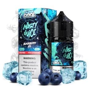 Blueberry Ice Salt - Nasty